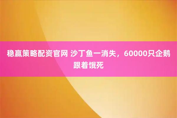 稳赢策略配资官网 沙丁鱼一消失，60000只企鹅跟着饿死