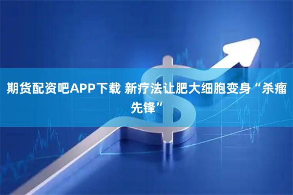 期货配资吧APP下载 新疗法让肥大细胞变身“杀瘤先锋”