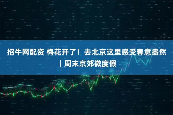 招牛网配资 梅花开了！去北京这里感受春意盎然｜周末京郊微度假