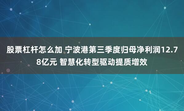 股票杠杆怎么加 宁波港第三季度归母净利润12.78亿元 智慧化转型驱动提质增效